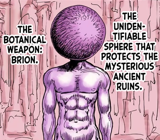 Brion in the hunterxhunter manga