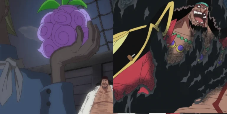 Yami Yami no Mi in One Piece: Complete Devil Fruit Overview